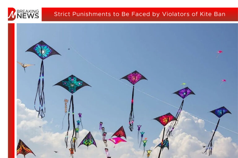 Strict Punishments to Be Faced by Violators of Kite Ban